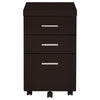 Skeena - 3-Drawer Mobile Office Cabinet