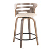 Cosi - 24" Fixed-Height Counter Stool (Set of 2)