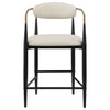 Tina - Metal Counter Height Bar Stool With Upholstered Back And Seat (Set of 2)