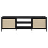 Amherst - 2-Door 70" Metal TV Stand Media Console - Black