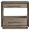 Durango - 2-Drawer Nightstand