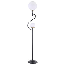  Dacki - Dual Spherical Bulb Metal Floor Lamp - Black