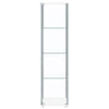 Bellatrix - 4-Shelf Clear Glass Curio Cabinet