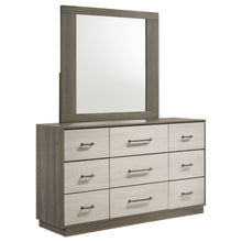  Fenwick - 9-Drawer Dresser With Mirror - Gray Oak