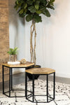 Adger - 2 Piece Hexagonal Nesting Tables - Natural And Black