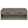 Felix - 2-Drawer Engineered Wood Coffee Table - Gray Driftwood