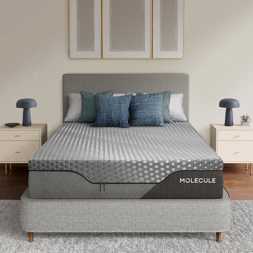 MOLECULE Engage 12" Mattress