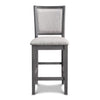 Amy - Counter Chair (Set of 2)